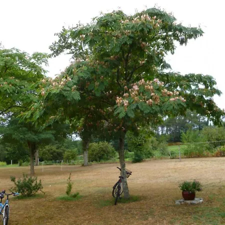 Herm, 4 Pieces, 6 Personnes - Fr-1-360-248 Tatil Evi